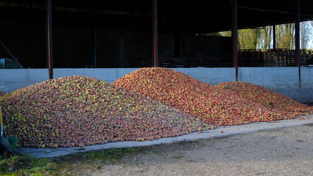 DOMAINE DE LA POMMERAIE　リンゴの山